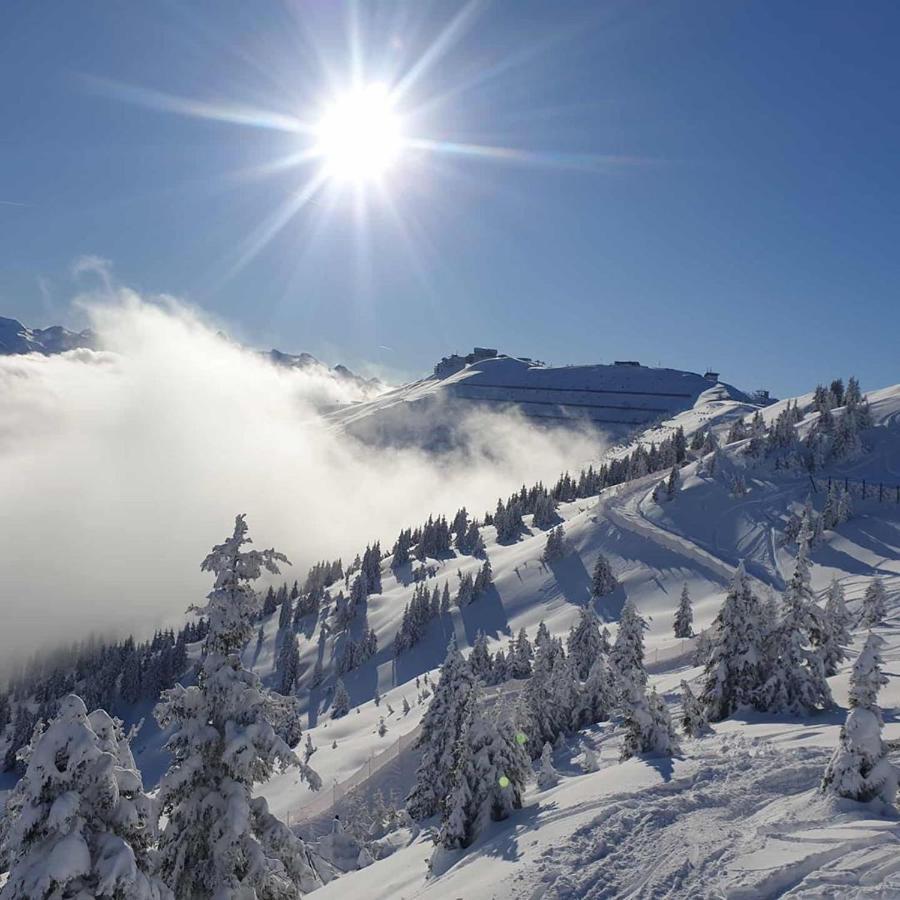Luxury Chalet Mauthner Alm Kotschach-Mauthen ภายนอก รูปภาพ